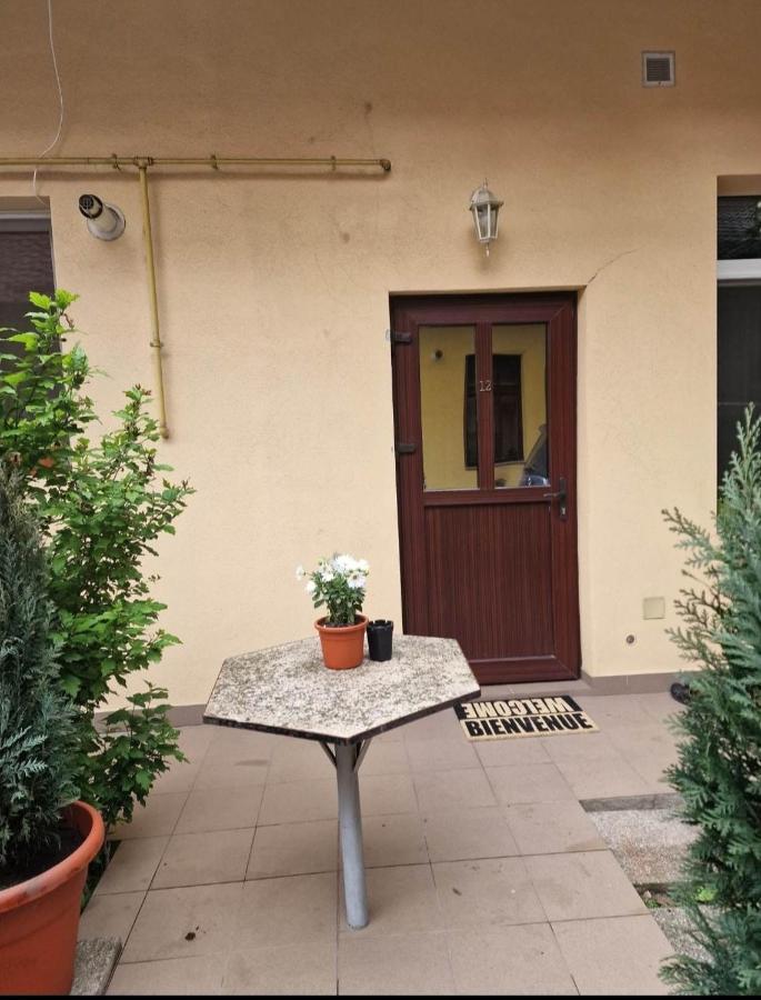 Traian Mosoiu , Parcare Proprie
