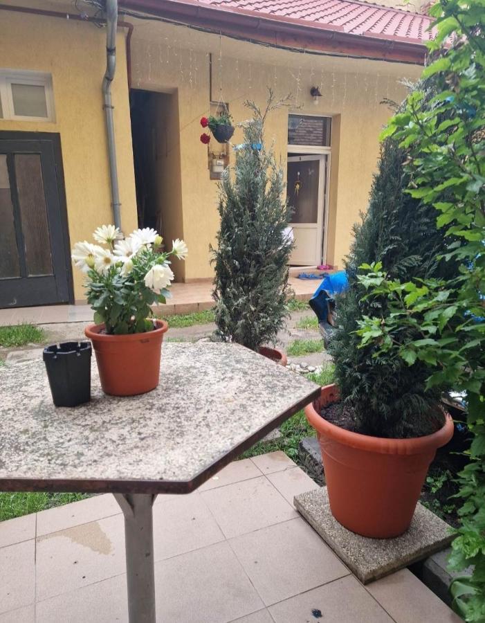 Traian Mosoiu , Parcare Proprie * Cluj-Napoca
